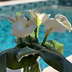 Petit Coin De Paradis Perigourdin